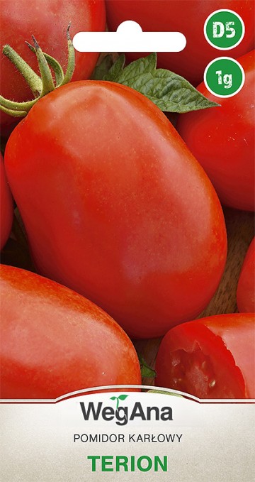 Pomidor 'Terion' nasiona 1 g - WegAna
