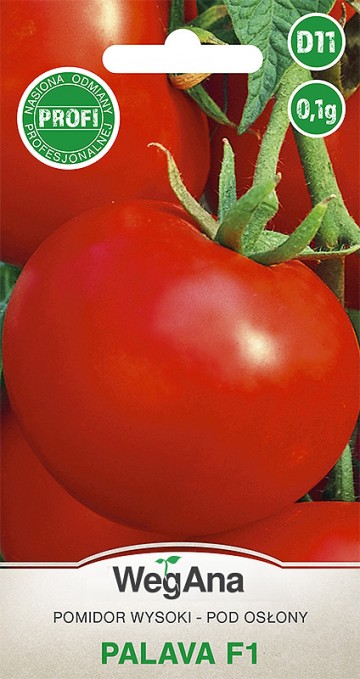 Pomidor 'Palava F1' nasiona 0,1 g - WegAna