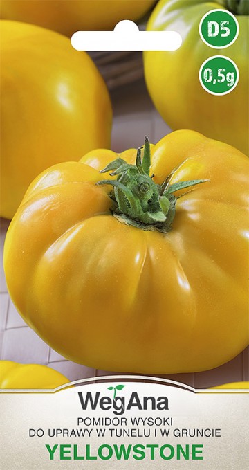 Pomidor 'Yellowstone' nasiona 0,5 g - WegAna