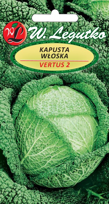 Kapusta włoska 'Vertus 2' nasiona 2 g - Legutko