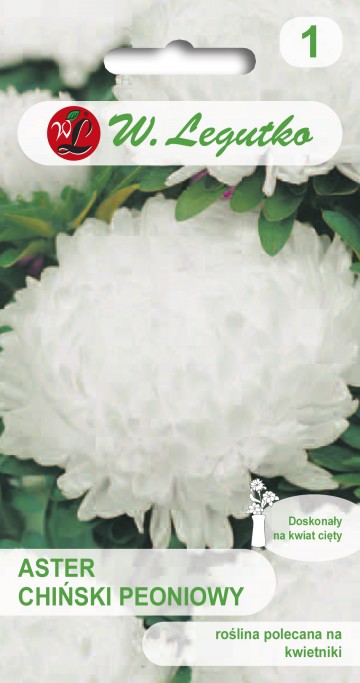 Aster chiński peoniowy biały nasiona 1 g - Legutko