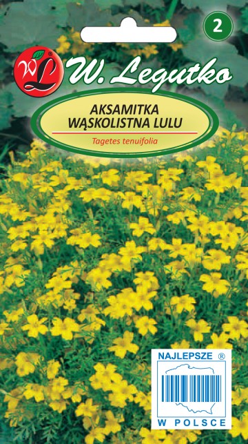 Aksamitka wąskolistna 'Lulu' nasiona 0,3 g - Legutko