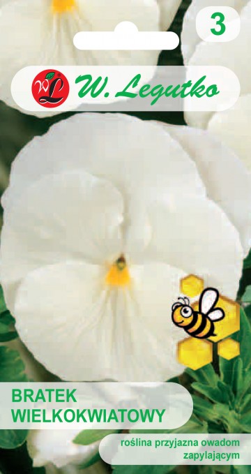 Bratek wielkokwiatowy 'Firnenschnee' nasiona 0,5 g - Legutko