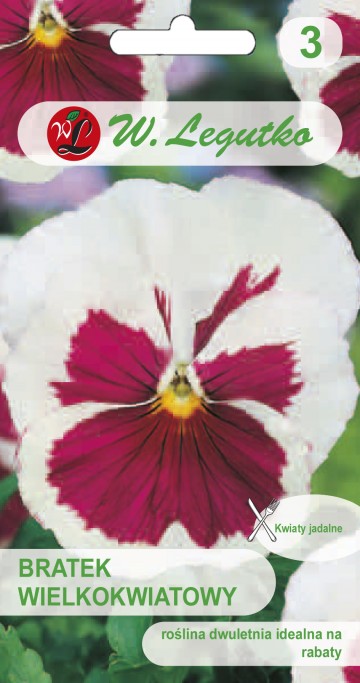 Bratek wielkokwiatowy biało-różowy nasiona 0,3 g - Legutko
