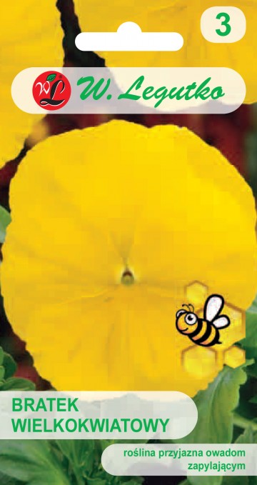 Bratek wielkokwiatowy żółty nasiona 0,5 g - Legutko