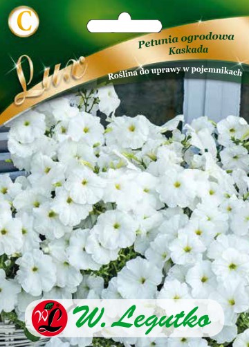 Petunia ogrodowa 'Kaskada' biała nasiona 0,02 g - Legutko