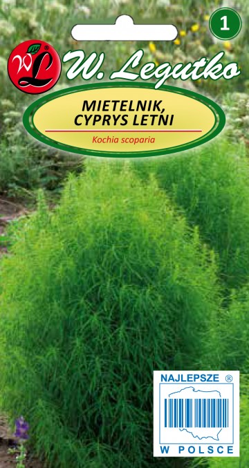 Mietelnik, Cyprys letni nasiona 1 g - Legutko