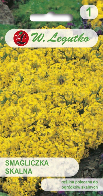 Smagliczka skalna żółta nasiona 0,5 g - Legutko