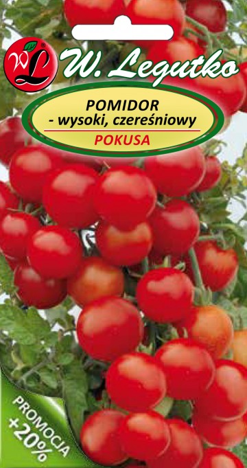 Pomidor 'Pokusa' nasiona 0,6 g - Legutko