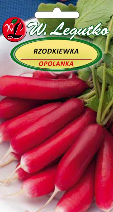 Rzodkiewka 'Opolanka' nasiona 5 g - Legutko