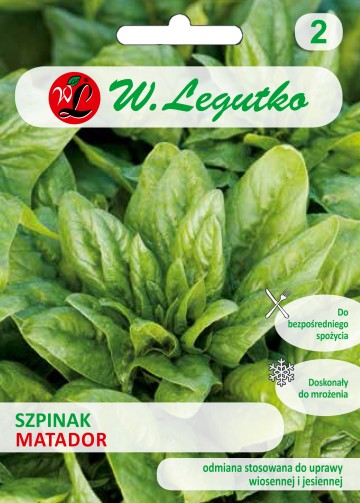 Szpinak 'Matador' nasiona 10 g - Legutko