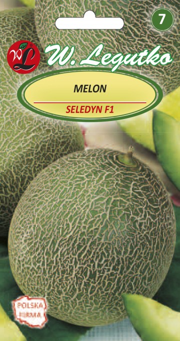 Melon 'Seledyn F1' nasiona 1 g - Legutko