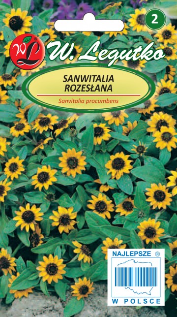 Sanwitalia rozesłana nasiona 0,3 g - Legutko