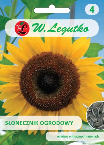 Słonecznik ogrodowy jadalny nasiona 20 g - Legutko